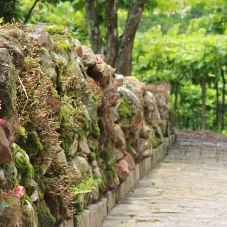 Willa Casa Vigneto Octavio No Vale Dos Vinhedos Bento Gonçalves Zewnętrze zdjęcie