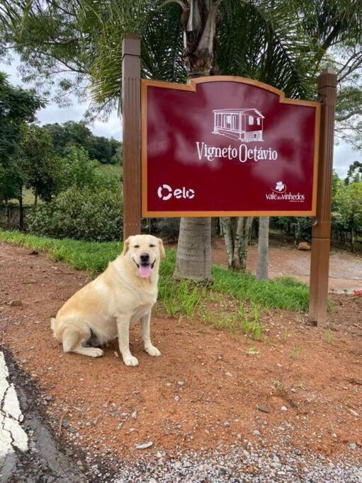 Willa Casa Vigneto Octavio No Vale Dos Vinhedos Bento Gonçalves Zewnętrze zdjęcie