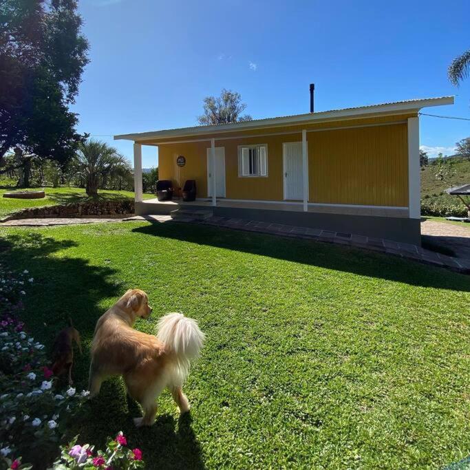 Willa Casa Vigneto Octavio No Vale Dos Vinhedos Bento Gonçalves Zewnętrze zdjęcie