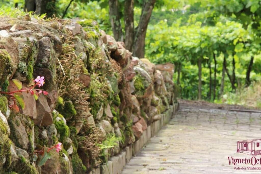 Willa Casa Vigneto Octavio No Vale Dos Vinhedos Bento Gonçalves Zewnętrze zdjęcie