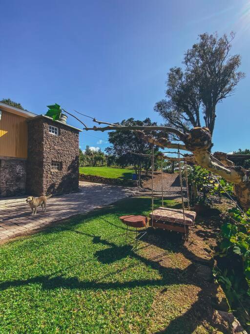 Willa Casa Vigneto Octavio No Vale Dos Vinhedos Bento Gonçalves Zewnętrze zdjęcie