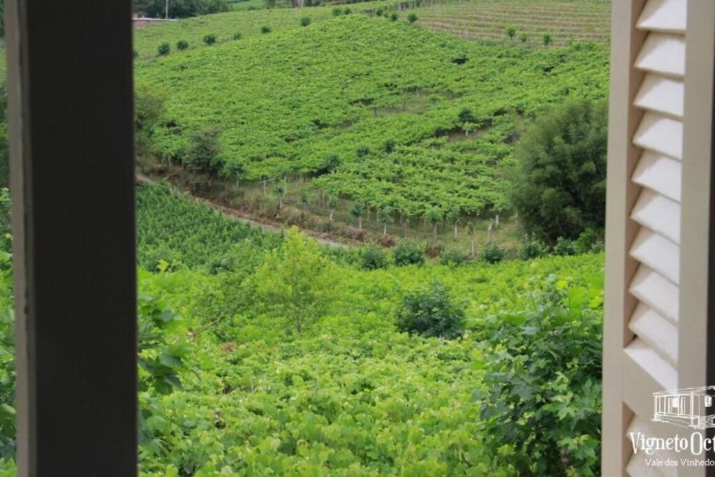 Willa Casa Vigneto Octavio No Vale Dos Vinhedos Bento Gonçalves Zewnętrze zdjęcie
