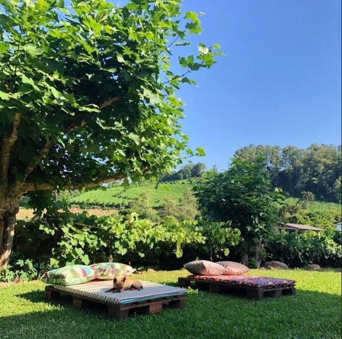 Willa Casa Vigneto Octavio No Vale Dos Vinhedos Bento Gonçalves Zewnętrze zdjęcie